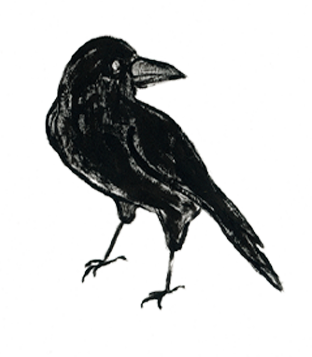black crowes aerosmith tour dates